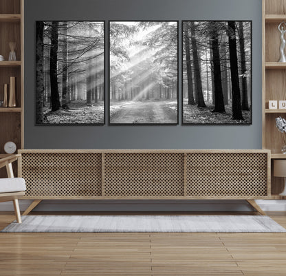 39665-MGV-CV-36X24-Black and White Forest Path Wall Art – Sunlight Rays in Trees Canvas Print, Nature Landscape Decor for Living Room or Office