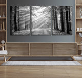 39665-MGV-CV-36X24-Black and White Forest Path Wall Art – Sunlight Rays in Trees Canvas Print, Nature Landscape Decor for Living Room