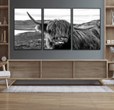 83810-MGV-CV-36X24-Highland Cow Wall Art – Black and White Highland Cattle Print, Rustic Farmhouse Animal Decor for Living Room