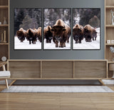 66871-MGV-FC-60X30-3P_Black-Bison Herd Wall Art – Wildlife Buffalo Canvas Print, Rustic Western Nature Photography Decor for Living Room, Office, Cabin, or