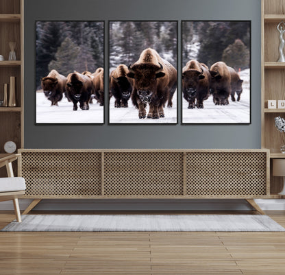 66871-MGV-FC-60X30-3P_Black-Bison Herd Wall Art – Wildlife Buffalo Canvas Print, Rustic Western Nature Photography Decor for Living Room, Office, Cabin, or