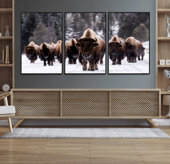 66871-MGV-CV-36X24-Bison Herd Wall Art – Wildlife Buffalo Canvas Print, Rustic Western Nature Photography Decor for Living Room, Office, Cabin, or