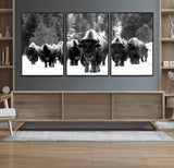 62434-MGV-CV-36X24-Bison Herd Wall Art – Majestic Black and White Buffalo Canvas Print, Wildlife Nature Photography Decor for Living Room, Office or