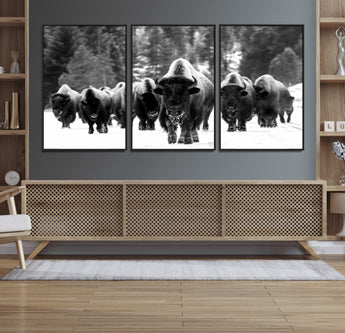62434-MGV-CV-36X24-Bison Herd Wall Art – Majestic Black and White Buffalo Canvas Print, Wildlife Nature Photography Decor for Living Room, Office or