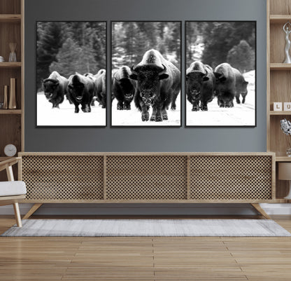 62434-MGV-CV-36X24-Bison Herd Wall Art – Majestic Black and White Buffalo Canvas Print, Wildlife Nature Photography Decor for Living Room, Office or
