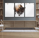 19889-MGV-CV-36X24-Snow Bison Wall Art – Majestic Buffalo Winter Landscape Canvas Print, Rustic Wildlife Photography Decor for Cabin, Lodge, Living