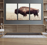 48406-MGV-CV-36X24-American Bison Wall Art – Rustic Buffalo Canvas Print in Prairie Field, Western Wildlife Photography Decor for Cabin, Lodge,