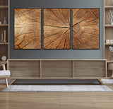61710-MGV-CV-36X24-Tree Rings Wall Art – Rustic Wood Grain Canvas Print of Tree Trunk Cross Section, Nature Inspired Decor for Cabin, Office, Living