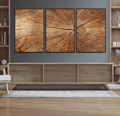 61710-MGV-CV-36X24-Tree Rings Wall Art – Rustic Wood Grain Canvas Print of Tree Trunk Cross Section, Nature Inspired Decor for Cabin, Office, Living