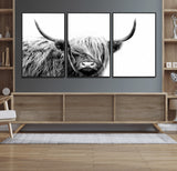 51957-MGV-CV-36X24-Highland Cow Wall Art – Black and White Scottish Highland Bull Canvas Print, Rustic Farmhouse Animal Decor for Living Room,