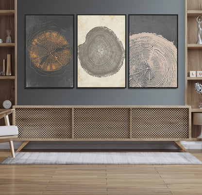 80725-MGV-FC-60X30-3P_Black-Wood Tree Rings Wall Art Canvas Print, Framed Tree Rings Art Picture Print, Abstract Tree Rings Perfect Modern Boho Decor Artwork