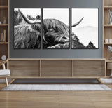 61570-MGV-CV-36X24-Highland Cow Wall Art – Black and White Scottish Bull Canvas Print, Rustic Farmhouse Animal Decor for Living Room, Bedroom, or
