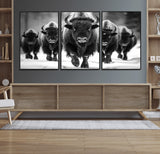 79872-MGV-FC-60X30-3P_Black-Bison Herd Wall Art – Black and White Buffalo on Snow Canvas Print, Rustic Wildlife Decor for Lodge, Cabin, or Living Room