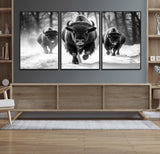 97552-MGV-CV-36X24-Black and White Bison Wall Art – Buffalo Herd Running in Snow Canvas Print, Rustic Wildlife Photography Decor for Cabin, Lodge, or