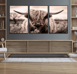 55903-MGV-FC-60X30-3P_Black-Highland Cow Wall Art – Rustic Sepia Scottish Highland Bull Canvas Print, Farmhouse Country Animal Decor for Living Room, Bedroom