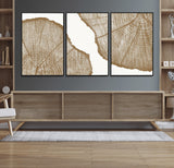 99692-MGV-FC-60X30-3P_Black-Tree Ring Linocut Wall Art Canvas Print, Framed Wood Cut Art Picture Print, Tree Rings Perfect Minimalist Rustic Decor Artwork