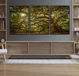 57983-MGV-CV-36X24-Angel Oak Tree Wall Art Canvas Print, Framed Oak Tree Art Picture Print, Angel Oak Perfect Rustic Nature Decor Artwork