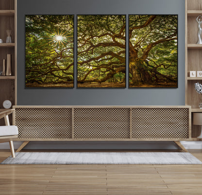 57983-MGV-CV-36X24-Angel Oak Tree Wall Art Canvas Print, Framed Oak Tree Art Picture Print, Angel Oak Perfect Rustic Nature Decor Artwork