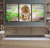 75066-MGV-CV-36X24-Leopard Wall Art Canvas Print, Framed Wild Animal Art Picture Print, Blue Eye Leopard Perfect Wild Minimal Decor Artwork