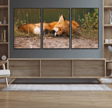 25085-MGV-CV-36X24-Sleeping Fox Wall Art Canvas Print, Framed Rustic Fox Art Picture Print, Wildlife Animal Perfect Rustic Farmhouse Decor Artwork