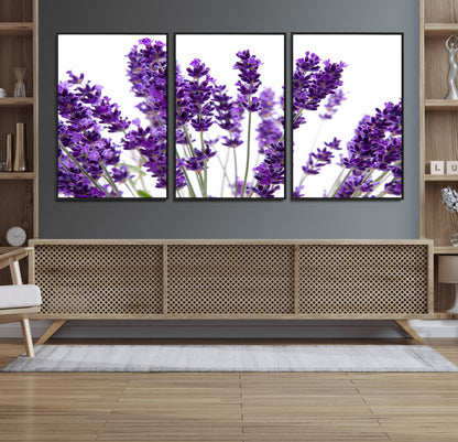 84456-MGV-FC-60X30-3P_Black-Lavender Wall Art – Botanical Canvas Print Featuring Purple Floral Stems, Fresh Nature Inspired Artwork for Living Room, Bedroom,