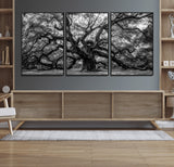 132944706-MGV-FC-60X30-3P_Black-Ancient Tree Wall Art – Black and White Photography Canvas Print Featuring Majestic Twisting Branches, Rustic Nature Artwork for