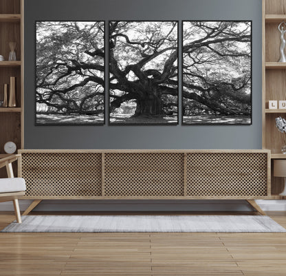 81655611-MGV-FC-60X30-3P_Black-Ancient Oak Wall Art Canvas Print, Framed Twisted Branches Art Picture Print, Gnarled Tree Perfect Moody Nature Decor Artwork