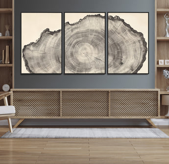 98921313-MGV-CV-36X24-Tree Ring Wall Art Canvas Print, Framed Wood Slice Art Picture Print, Minimalist Wood Perfect Rustic Academic Decor Artwork