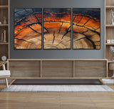 65909987-MGV-FC-60X30-3P_Black-Rustic Tree Ring Wall Art – Nature Inspired Wooden Texture Canvas Print, Modern Abstract Artwork for Living Room, Bedroom, Office