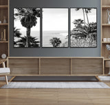 89458520-MGV-CV-36X24-Palm Trees Wall Art Canvas Print, Framed Coastal View Art Picture Print, Ocean Horizon Perfect Monochrome Coast Decor Artwork