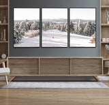 62119206-MGV-CV-36X24-Snowy Trail Wall Art Canvas Print, Framed Ski Slope Art Picture Print, Winter Pines Perfect Alpine Adventure Decor Artwork