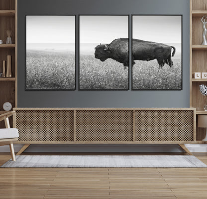 28435251-MGV-CV-36X24-Bison In Prairie Wall Art Canvas Print, Framed Rustic Wildlife Art Picture Print, Wild Buffalo Perfect Rustic Western Decor