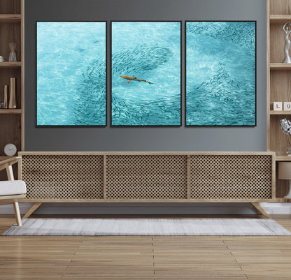 43671474-MGV-CV-36X24-Fish Swarm Wall Art Canvas Print, Framed Marine Life Art Picture Print, Shark Aerial Perfect Wildlife Coastal Decor Artwork