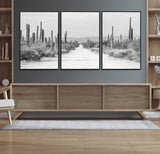 35537313-MGV-FC-60X30-3P_Black-Monochrome Desert Wall Art Canvas Print, Framed Cactus Path Art Picture Print, Southwestern Landscape Perfect Southwestern