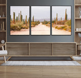 30742780-MGV-CV-36X24-Desert Cactus Wall Art Canvas Print, Framed Southwestern Art Picture Print, Bohemian Western Perfect Southwestern Boho Decor
