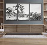 88164251-MGV-CV-36X24-Joshua Tree Wall Art Canvas Print, Framed Desert Path Art Picture Print, Monochrome Desert Perfect Minimalist Desert Decor Artwork