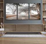 87090469-MGV-CV-36X24-Cypress Tunnel Wall Art Canvas Print, Framed Misty Road Art Picture Print, Foggy Trees Perfect Rustic Woodland Decor Artwork