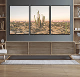 76234974-MGV-CV-36X24-Desert Cactus Wall Art Canvas Print, Framed Baja Desert Art Picture Print, Pastel Desert Perfect Southwestern Boho Decor Artwork