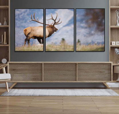 26365841-MGV-FC-60X30-3P_Black-Mountain Elk Art Wall Art Canvas Print, Framed Rustic Wildlife Print Art Picture Print, Lodge Style Decor Perfect Rustic Lodge