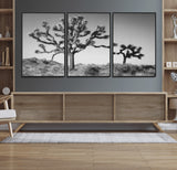 50975475-MGV-FC-60X30-3P_Black-Joshua Tree Art Wall Art Canvas Print, Framed Desert Tree Print Art Picture Print, Black White Nature Perfect Southwestern Boho