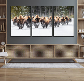 22695857-MGV-FC-60X30-3P_Black-Bison Herd Scene Wall Art Canvas Print, Framed Western Wildlife Art Picture Print, Rustic Animal Art Perfect Rustic Lodge Decor