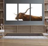 62566114-MGV-CV-36X24-Longhorn Cow Art Wall Art Canvas Print, Framed Rustic Animal Decor Art Picture Print, Texas Bull Photo Perfect Rustic Farmhouse