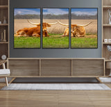 97244565-MGV-FC-60X30-3P_Black-Longhorn Duo Wall Art Canvas Print, Framed Cozy Ranch Vibes Art Picture Print, Western Ranch Decor Perfect Rustic Farmhouse Decor