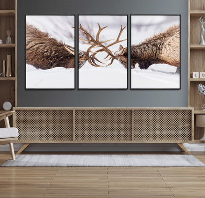 36507609-MGV-CV-36X24-Elk Clash Scene Wall Art Canvas Print, Framed Wildlife Strength Decor Art Picture Print, Snowy Forest Elk Perfect Rustic Lodge