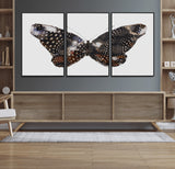 99831147-MGV-FC-60X30-3P_Black-Spotted Butterfly Wall Art Canvas Print, Framed Neutral Insect Theme Art Picture Print, Earthy Wing Pattern Perfect Modern Rustic
