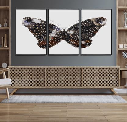 99831147-MGV-FC-60X30-3P_Black-Spotted Butterfly Wall Art Canvas Print, Framed Neutral Insect Theme Art Picture Print, Earthy Wing Pattern Perfect Modern Rustic
