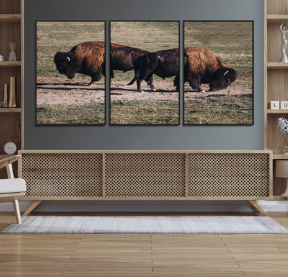 58141885-MGV-FC-60X30-3P_Black-Bison Photography Wall Art Canvas Print, Framed Western Wildlife Art Picture Print, Modern Ranch Perfect Western Rustic Decor