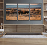 39509187-MGV-FC-60X30-3P_Black-Western Wildlife Wall Art Canvas Print, Framed Bison Art Picture Print, Golden Hour Perfect Western Rustic Decor Artwork