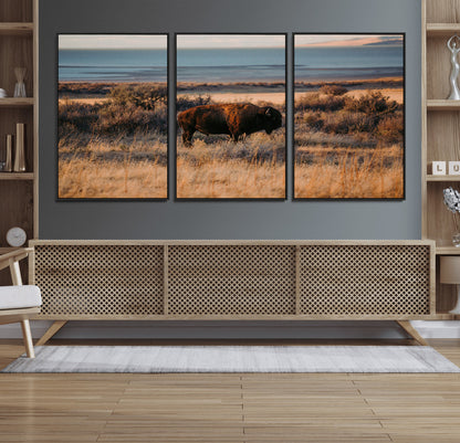 39509187-MGV-FC-60X30-3P_Black-Western Wildlife Wall Art Canvas Print, Framed Bison Art Picture Print, Golden Hour Perfect Western Rustic Decor Artwork