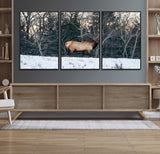 36533178-MGV-FC-60X30-3P_Black-Wild Elk Photography Wall Art Canvas Print, Framed Winter Wildlife Art Picture Print, Snowy Forest Perfect Rustic Lodge Decor
